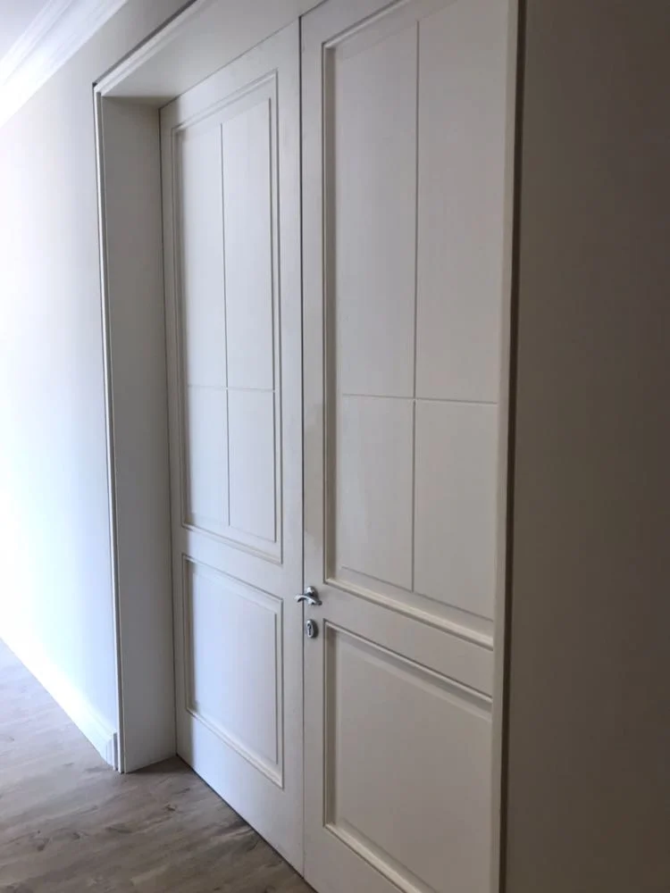 Fairland Residence paneled interior doors in a painted finish